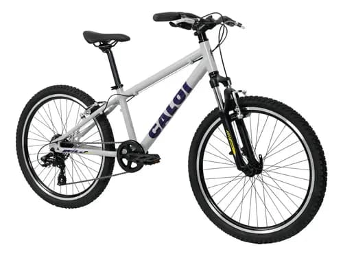 Bicicleta Mtb Caloi Wild Aro 24 8v Suspensão Cinza