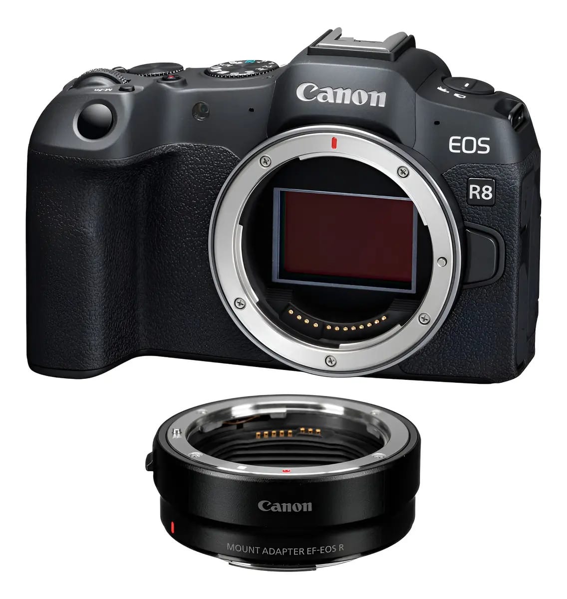 Câmera Mirrorless Canon Eos R8 4k + Adaptador Para Lente Ef