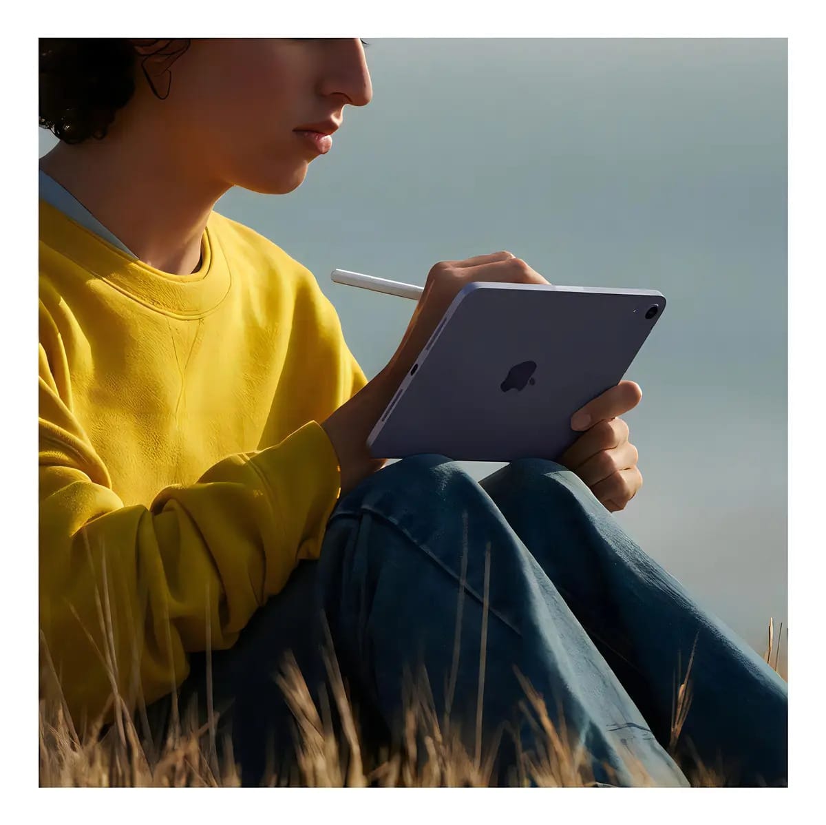 Apple iPad mini 256GB Wi-Fi Estelar