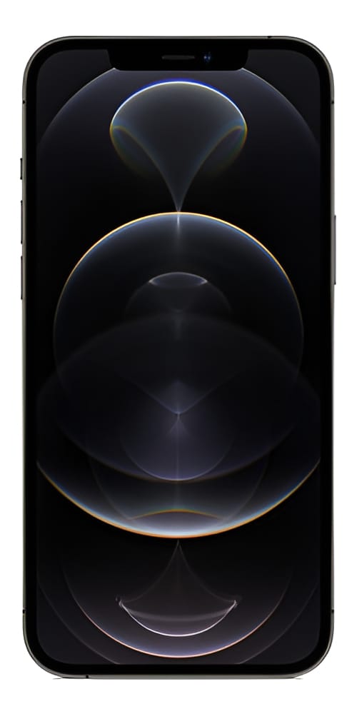 Apple iPhone 12 Pro Max (256 GB) - Grafite