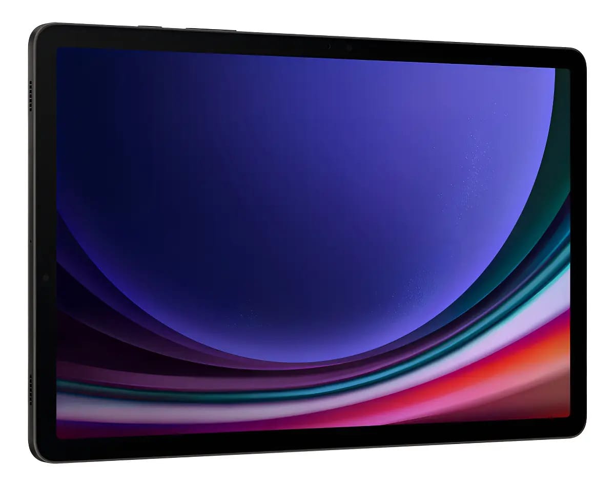 Samsung Galaxy Tab S9 Wi-Fi Cinza Cinza