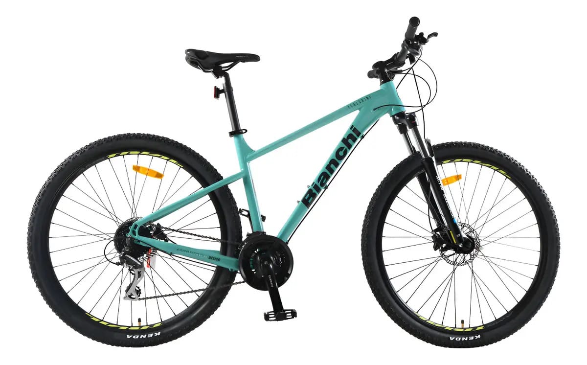 Cor da bicicleta Bianchi Peregrine Celeste, 30 anos, cor da moldura Celeste Bianchi, tamanho L