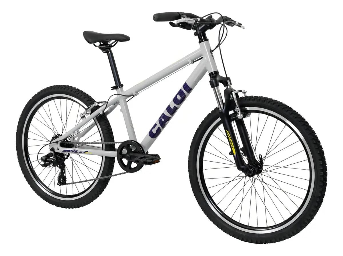 Bicicleta Mtb Caloi Wild Aro 24 8v Suspensão Cinza