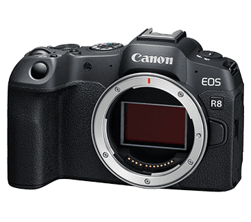 Canon EOS R8 (corpo)